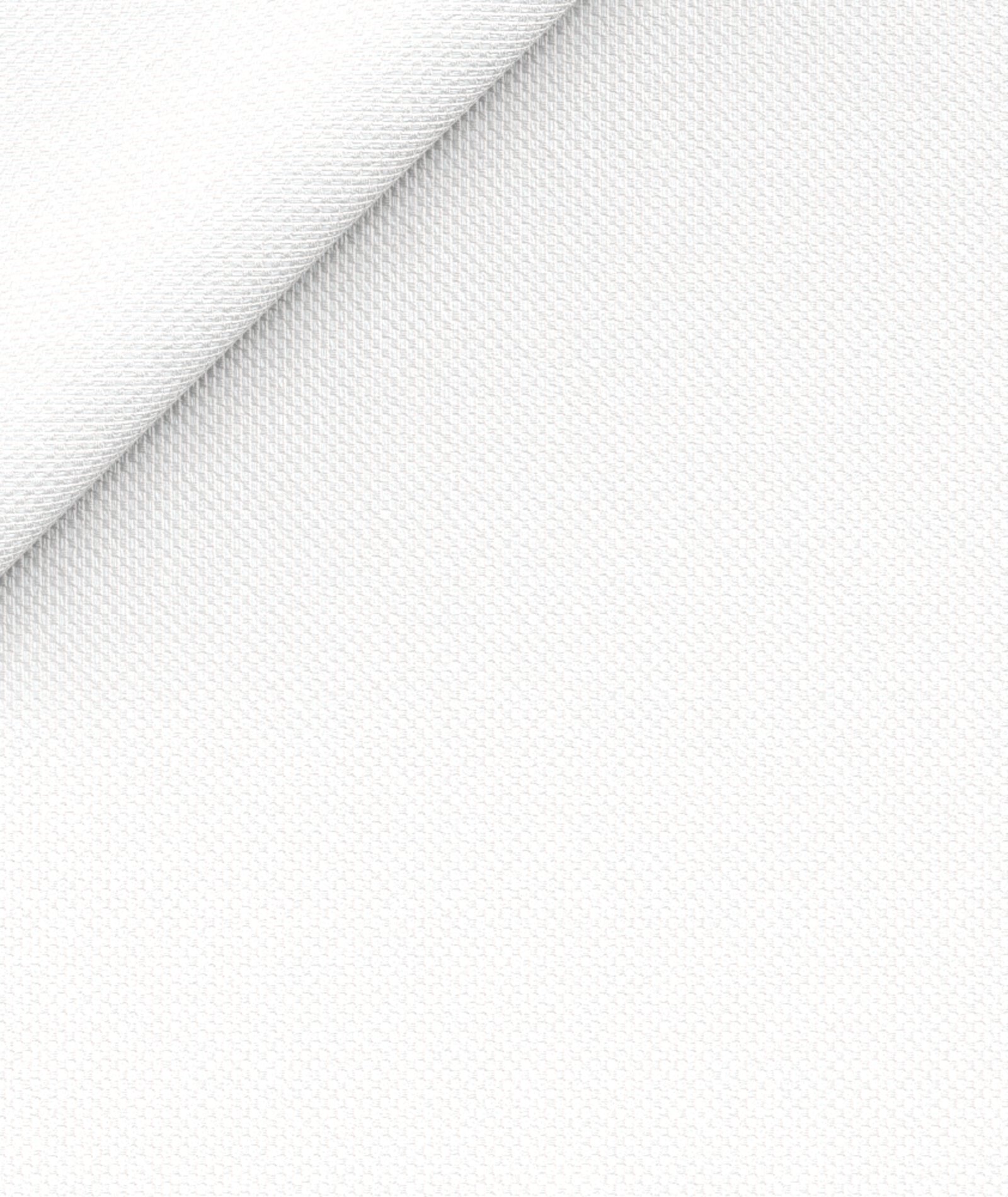 bianca king oxford cotone