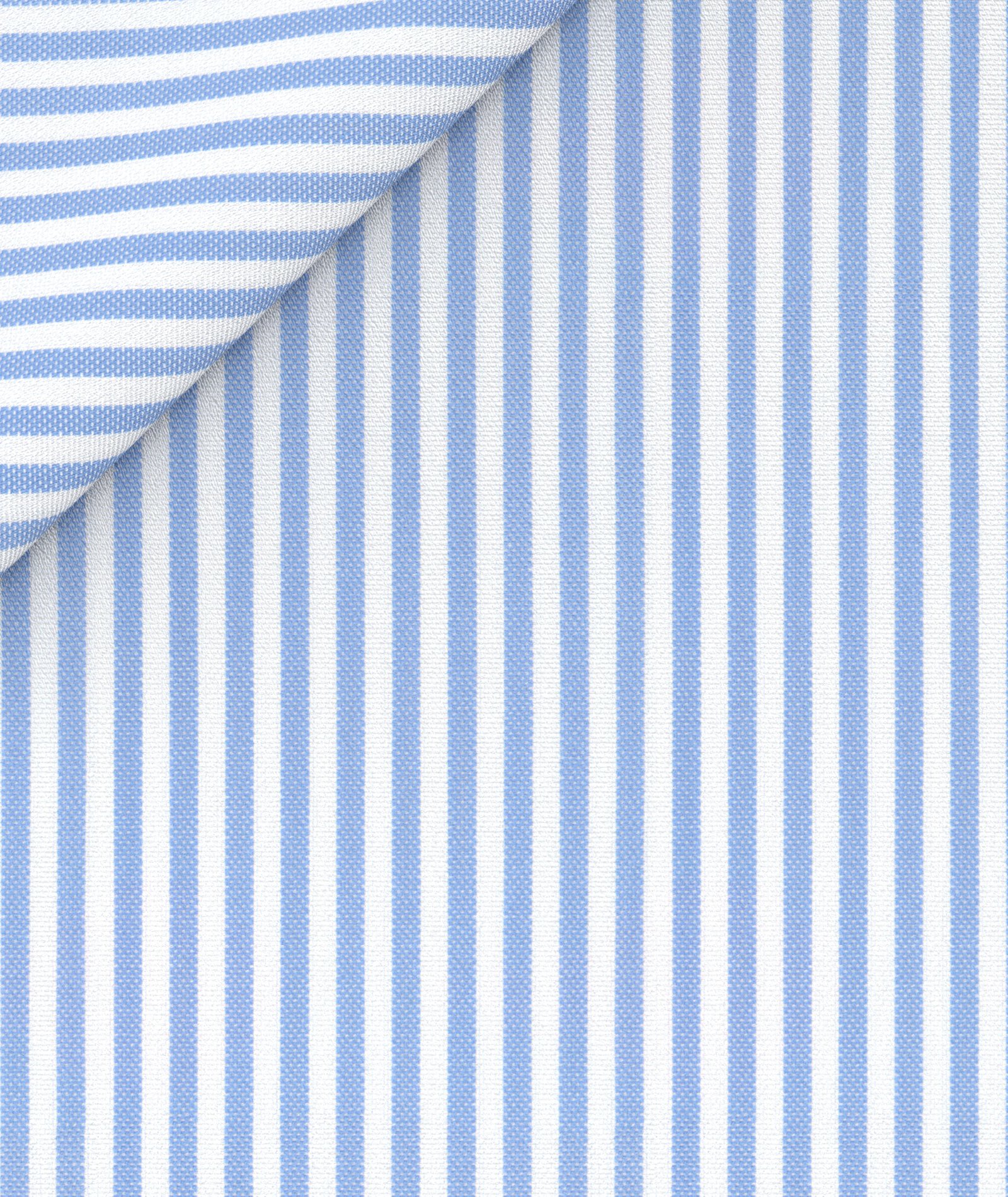 striped blue pinpoint