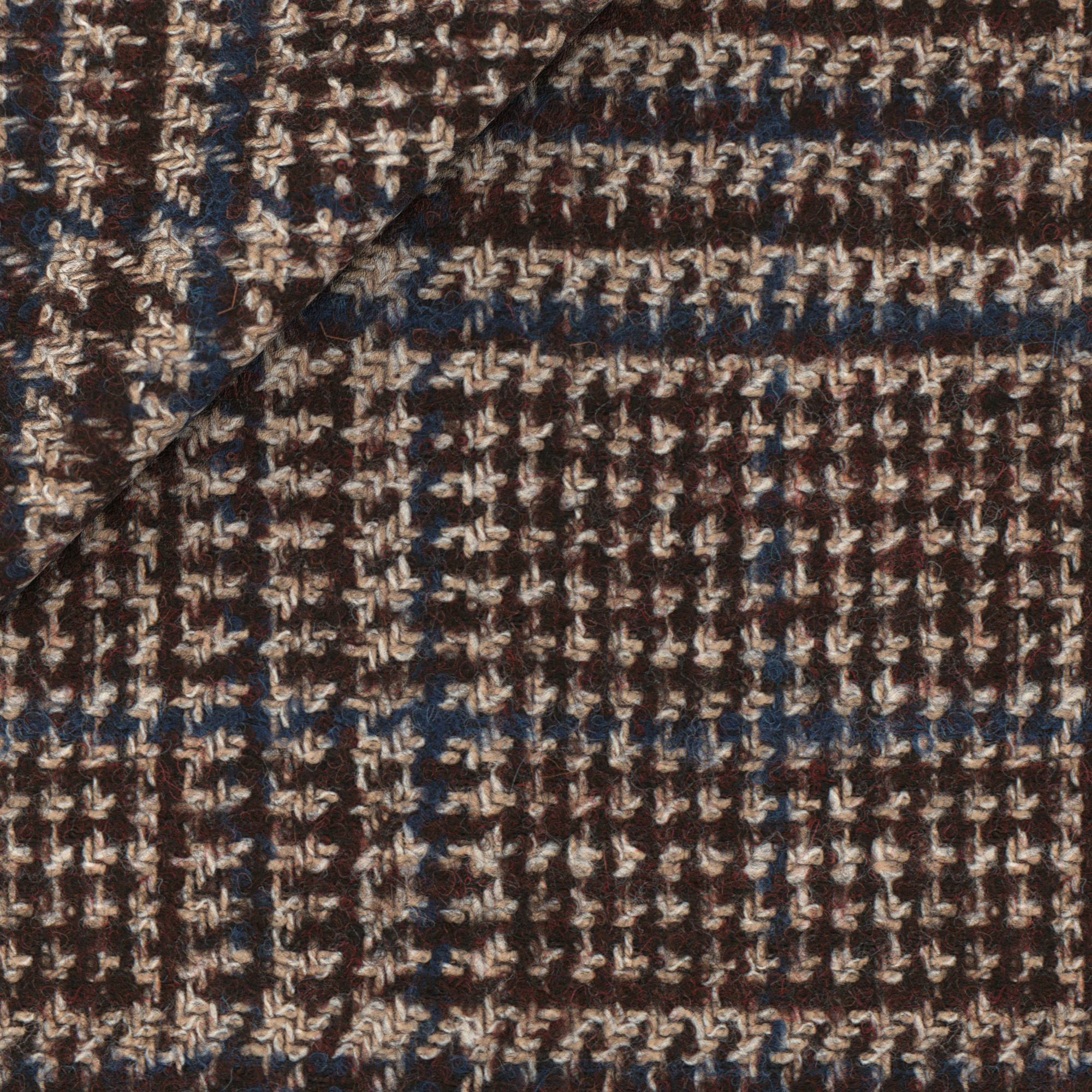 Baby alpaca Prince of Wales