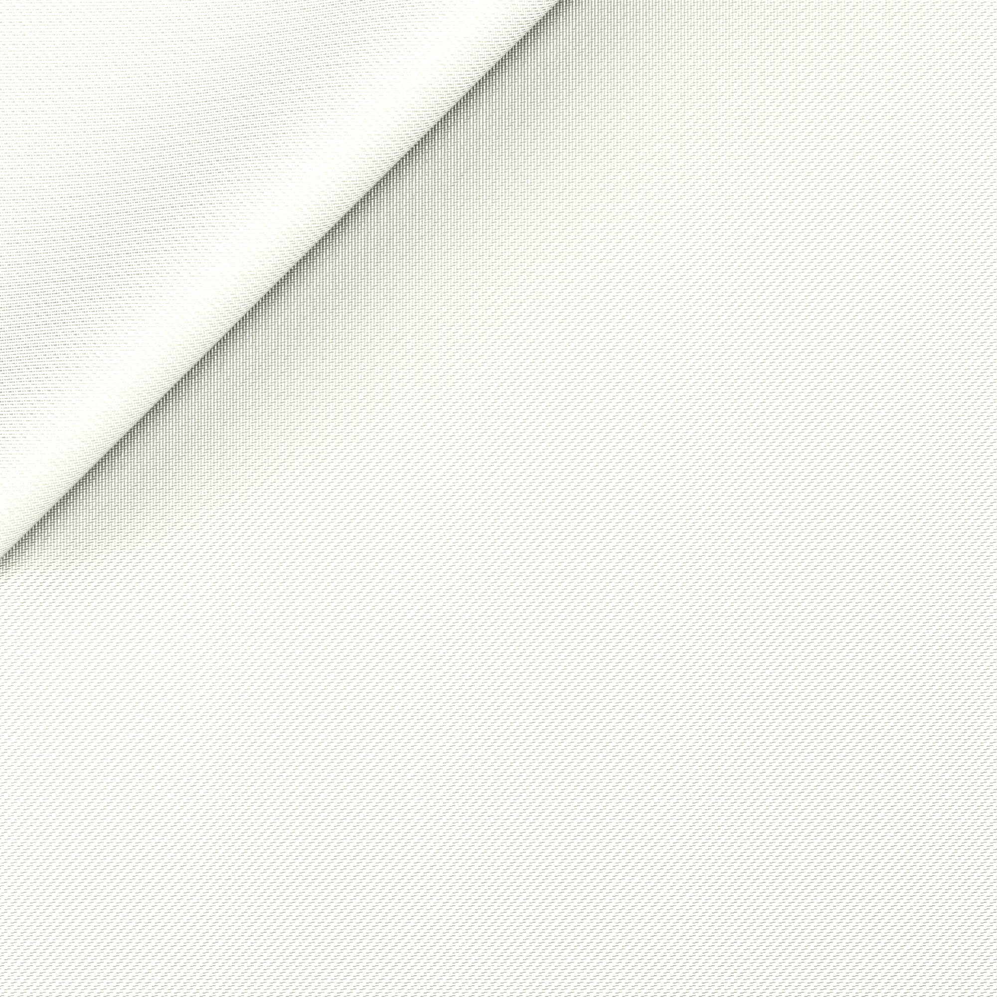 Sarga blanca